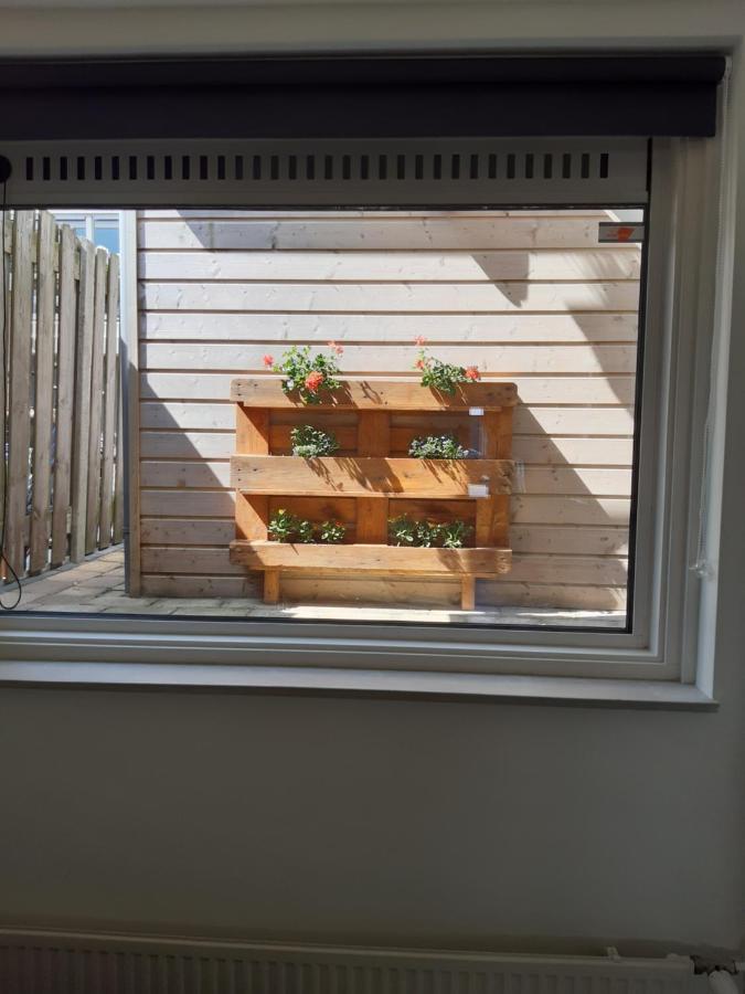 Apartment Sunny